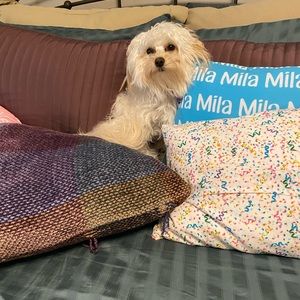 Meet your Posher, Diane